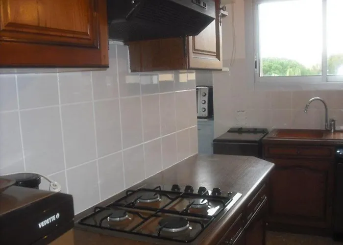 1 Face Aux Iles D'or Avec Parking, Port D'hyeres - Fr-1-335-182 *